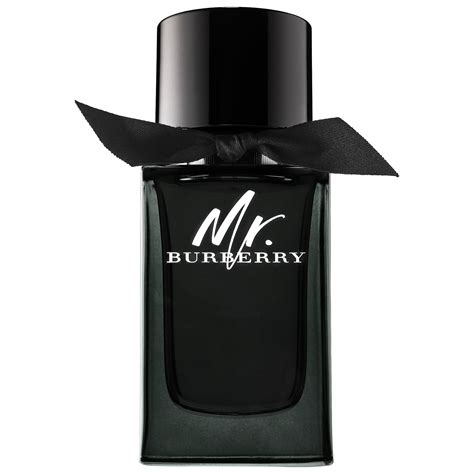 mr burberry eau de parfum uomo persistenza|mr burberry cologne.